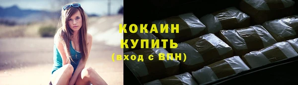 тгк Богородицк