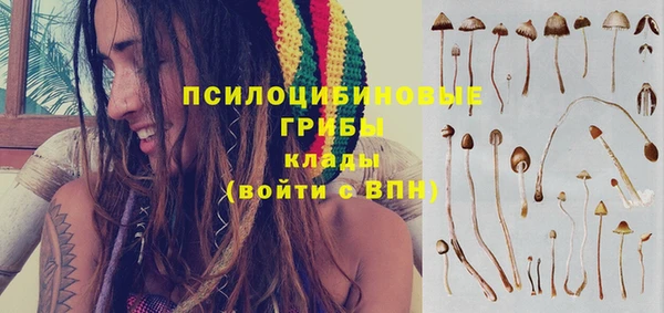 бошки Верхнеуральск