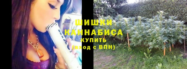 сатива Верхний Тагил