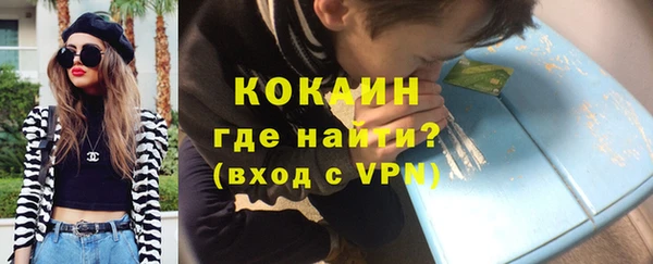 МДПВ Снежинск