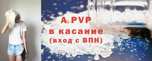 СК Снежногорск